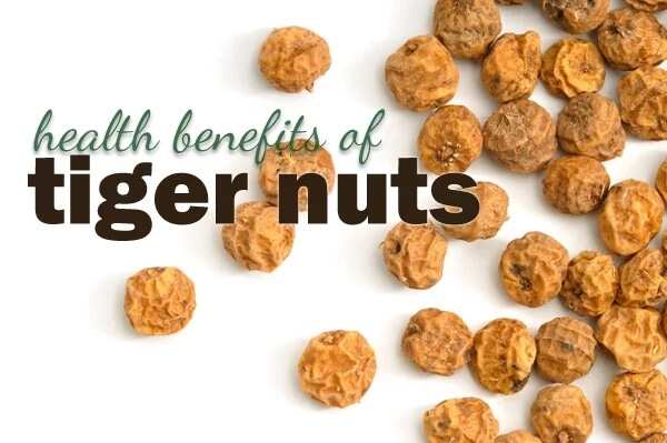 Benefits Of Tiger Nuts Dates And Coconut Updated 2020 Legitng 