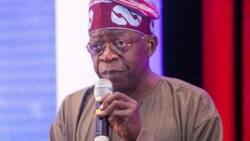 9 powerful quotes from Tinubu as he celebrates his 66th birthday
