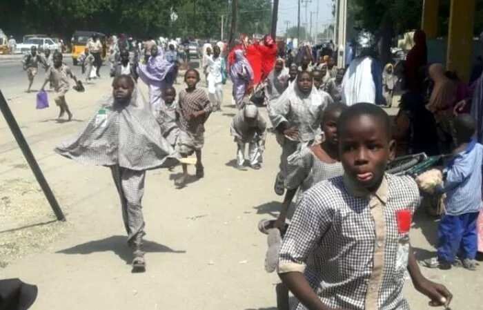 Confusion in Maiduguri as pupils flee their schools over alleged ‘killer Monkeypox vaccine’ rumour