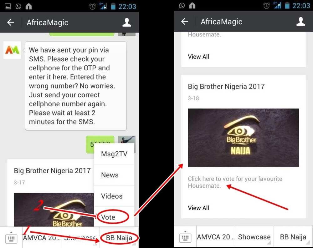 How to vote on Big Brother Naija on wechat