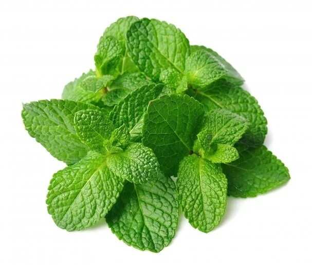 Mint leaf in Yoruba