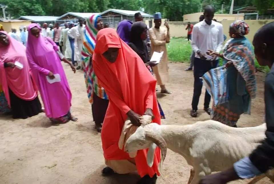 Babbar Sallah: Matar Gwamna Kashim Shettima ta yi rabon raguna 100 ga Malamai da gajiyayyu