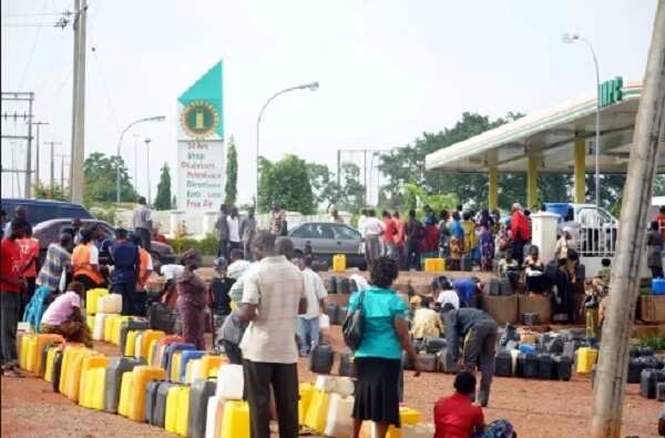 Fuel scarcity, subsidy payment, oil marketers, PMS, petroluem product, senate