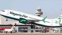Opinion: Who bears the cost of this expensive Nigeria Air? By Azu Ishiekwene