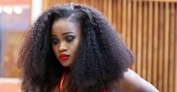 Cee-C can be used interchangeably with terrorism - Man writes