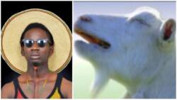 Nigerians compare Mr Eazi to goat for saying other artists copied his style of music (photo, video)