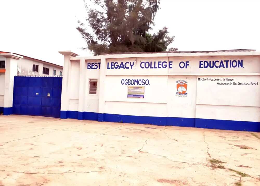 Best Legacy College of Education school fees and courses - Legit.ng