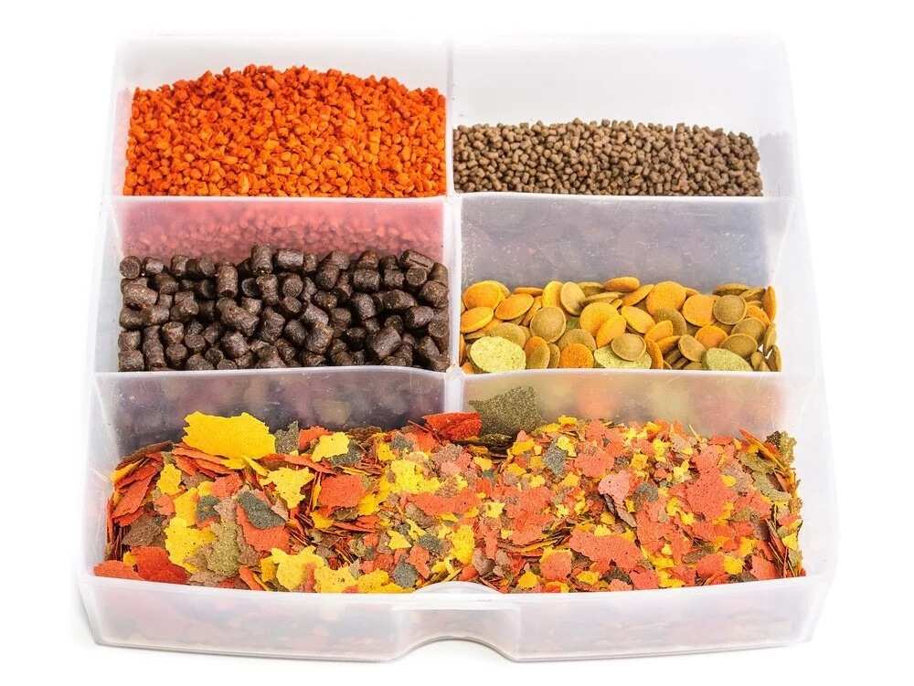 Fish Feed Formula Fish Feed Formula