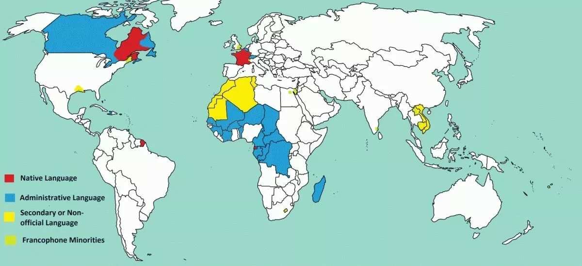countries in the amazon that speek dutch