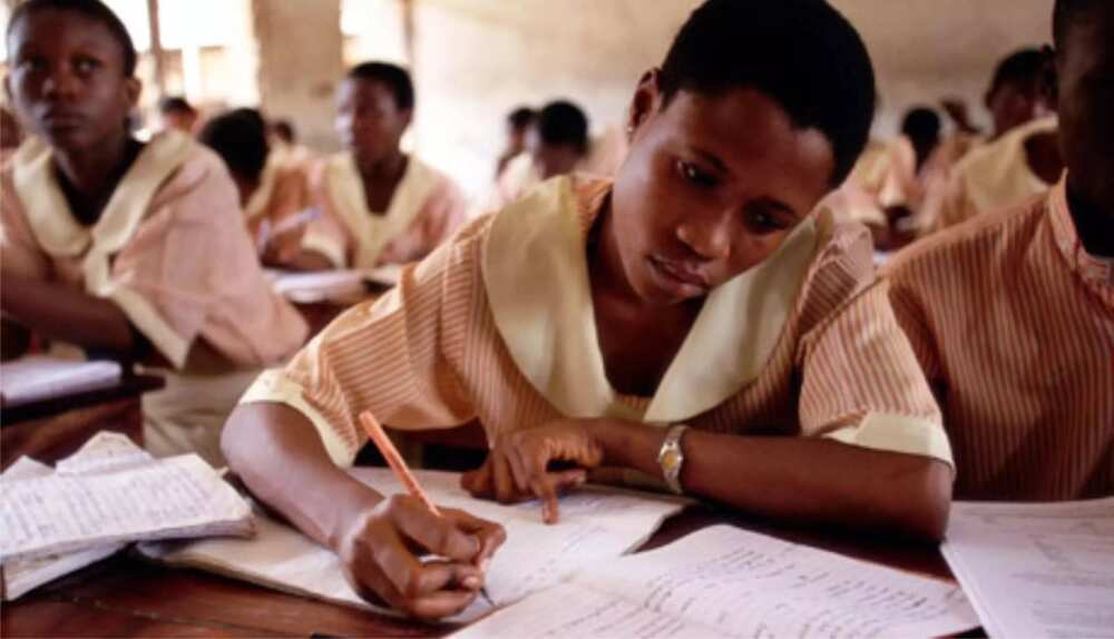Education in Nigeria: new curriculum