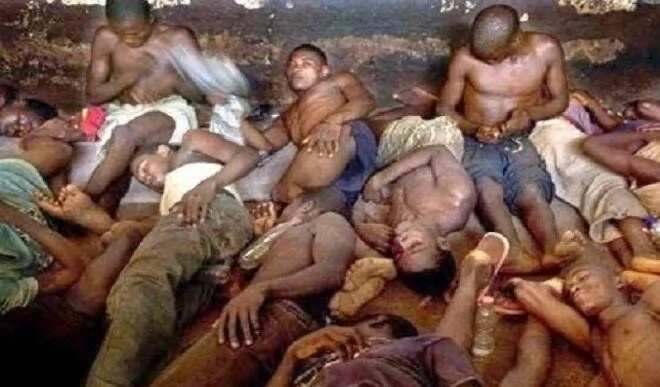 Image result for Nigerians In Prison