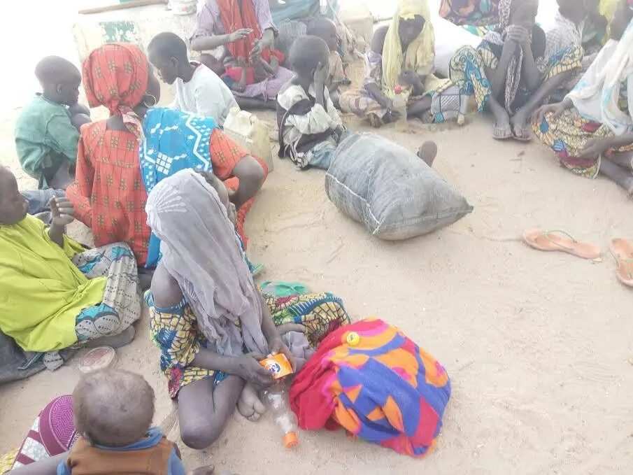 Boko Haram: Nigerian army rescues 500 people