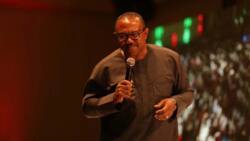 Peter Obi top list of most searched personalities on google