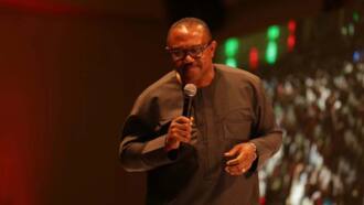 "If they can learn Quran, they are intelligent," Peter Obi on high number of out-of-school children in North