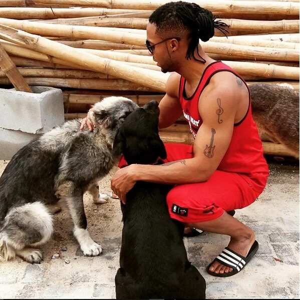 Check Out 10 Things That Stand Flavour Out (PHOTOS)