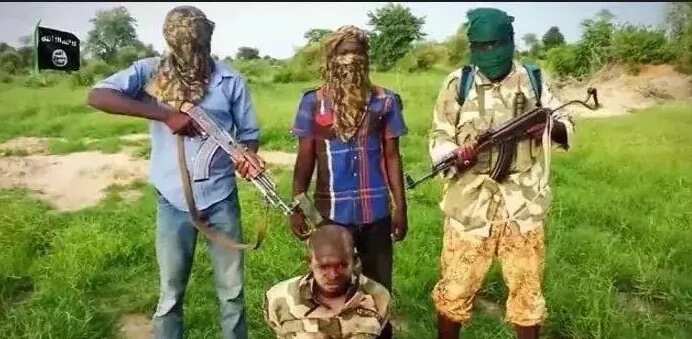 Labari Da Dumi Dumi Boko Haram Su Yi Wani Sabon Bidiyo Legit Ng
