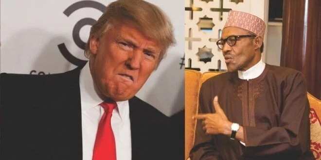 Zamu taimaka muku da makamai; karanta sauran abinda Donald Trump ya fadawa Buhari