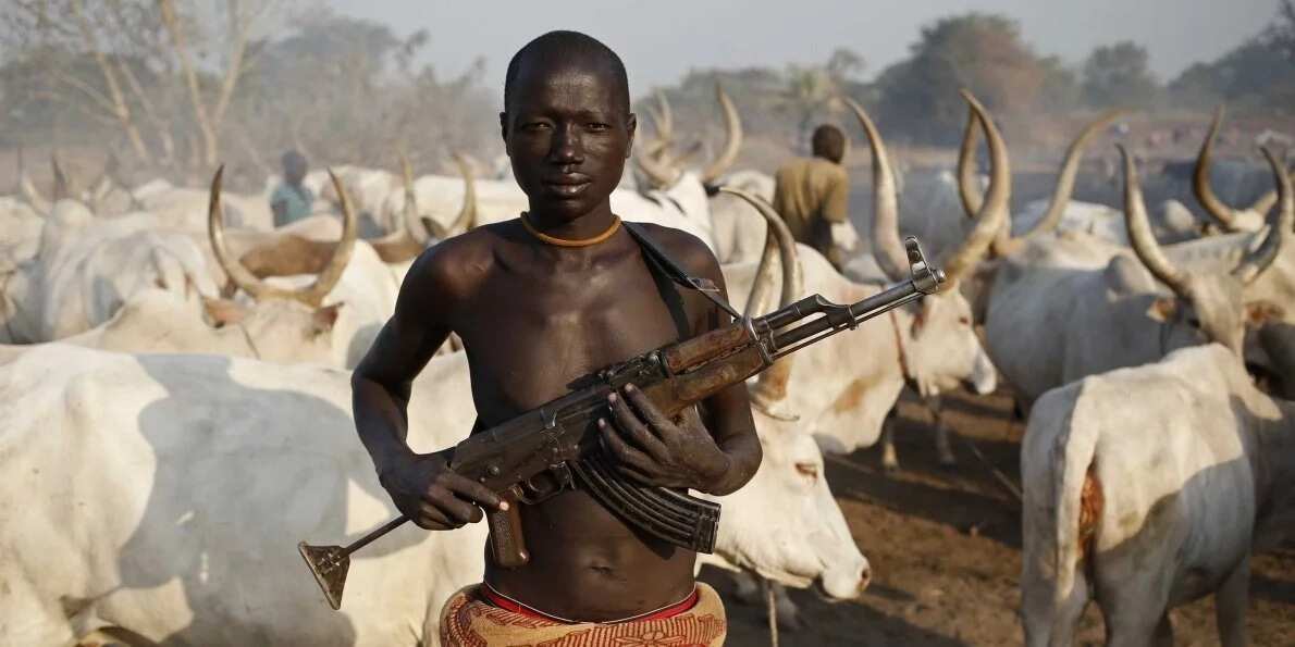 History Of Fulani Herdsmen In Nigeria And Todays Crisis Legitng 3969