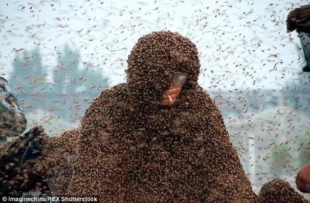 Man Covered In 100kg Of Bees Sets World Record
