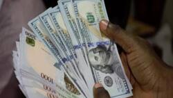 Naira crashes against dollar, pound, euro after CBN places limits on cash withdrawals