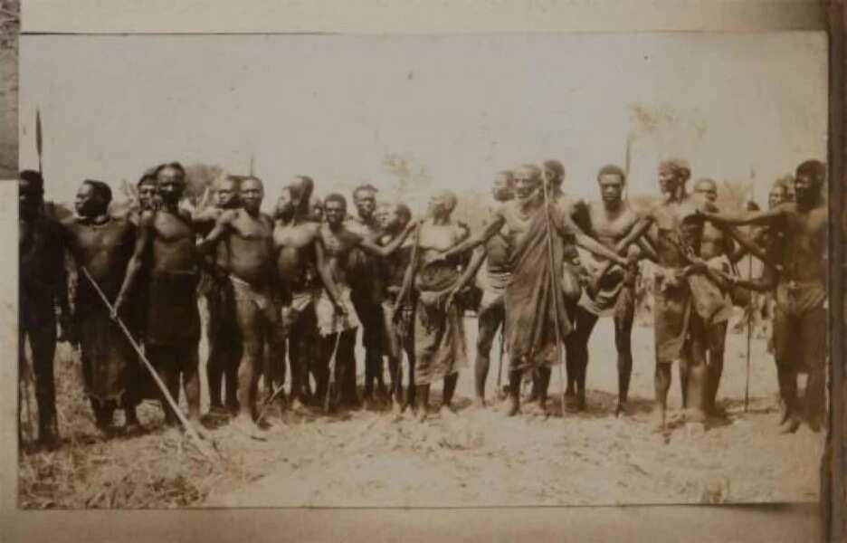 tiv-origin-brief-history-of-the-tribe-legit-ng