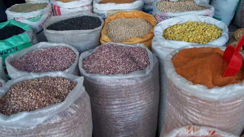 Najeriya na iya fadawa cikin halin karancin abinci, Ministan Buhari Najeriya na iya fadawa cikin halin karancin abinci, Ministan Buhari