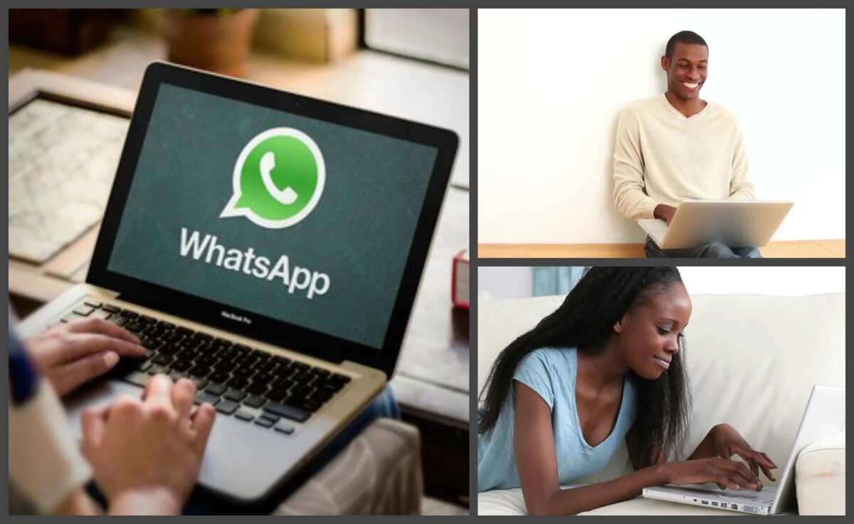 download whatsapp for pc without phone