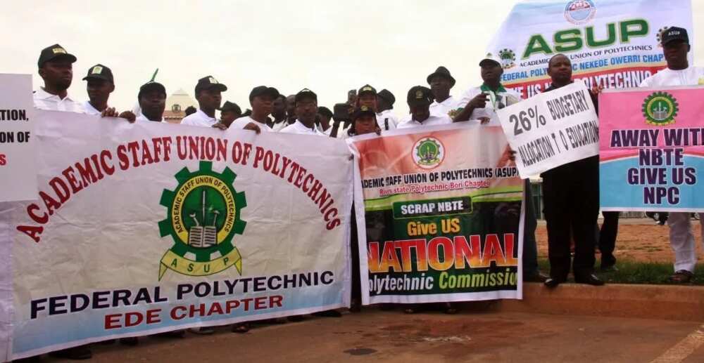 Call off strike or no salary - FG tells polytechnic lecturers