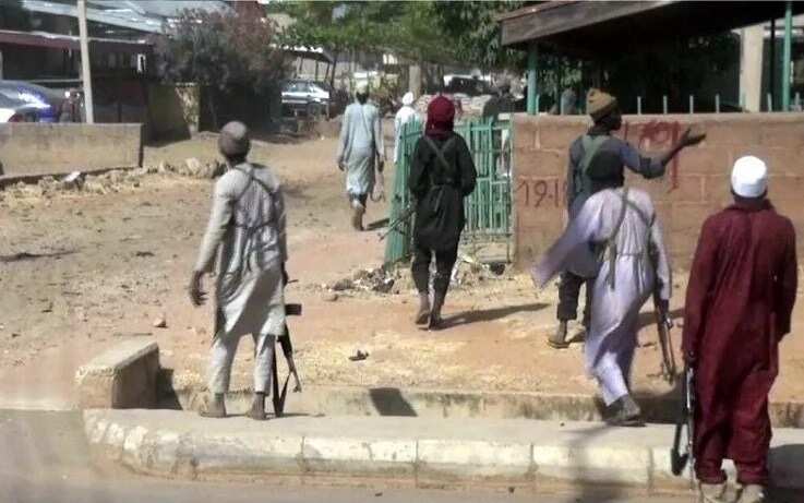 Jonathan only called me once for a meeting over Boko Haram —Governor Shettima