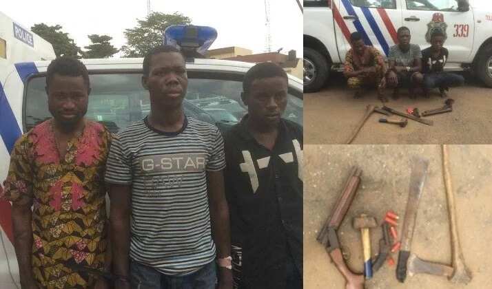 Nurudeen, Ehis and one other criminal arrested by the Lagos state police.