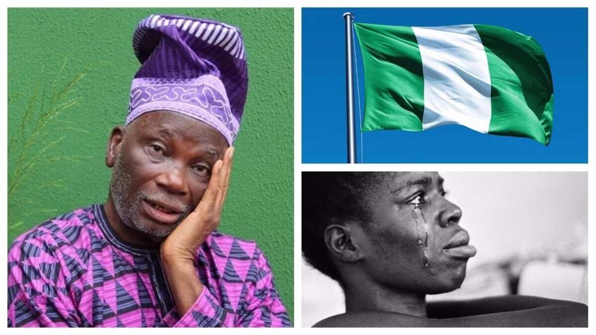 Who Designed The Nigerian Flag Legit ng