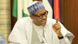 Buhari issues new advisory, speaks on inflow of weapons into Africa, Nigeria from Russia-Ukraine war