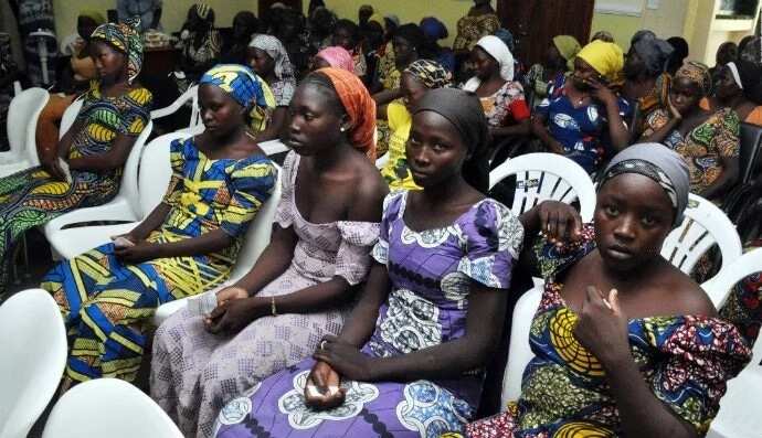 PDP chieftain reveals how negotiation for CHibok girls' release was scuttled under Jonathan