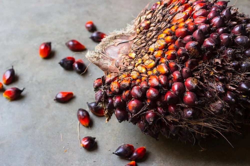 Food Musings: On The Palm Oil Matter, To Eat Or Not To Eat