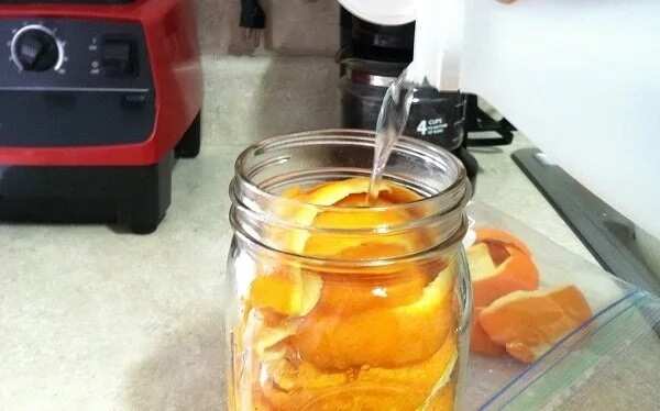 How To Make Orange Oil At Home Legit Ng