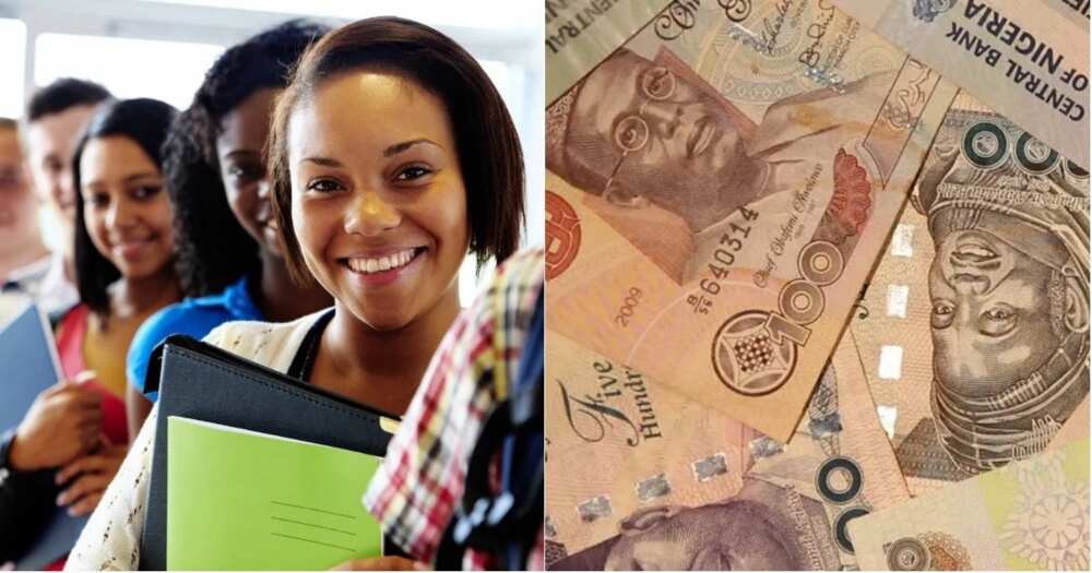 How To Make Money As A Student In Nigeria Legit Ng - 