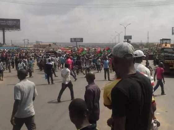 Biafra Agitation: Tension mounts as IPOB claims 17 members missing after assault by troops in Asaba