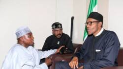 Presidential aide leaks Buhari's secret, reveals why its difficult to dismantle his legacy