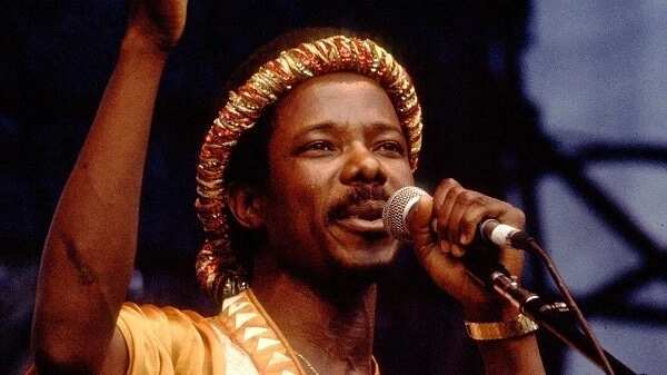 King Sunny Ade movie