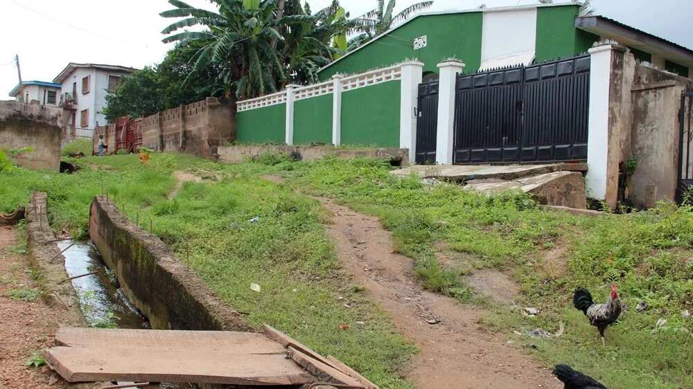 The Sad Story Of A Man Who Designed Nigeria’s Flag