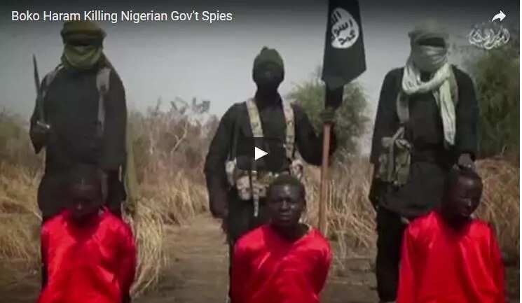 BREAKING: Boko Haram bomber hits Maiduguri