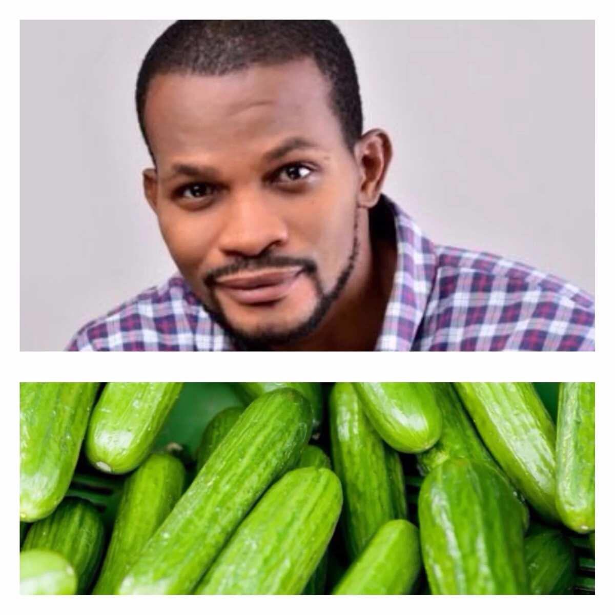 Cucumber benefits for men Legit.ng