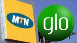 From N7.05bn to N2.3bn: Facts about MTN and Glo’s recent interconnect fees saga