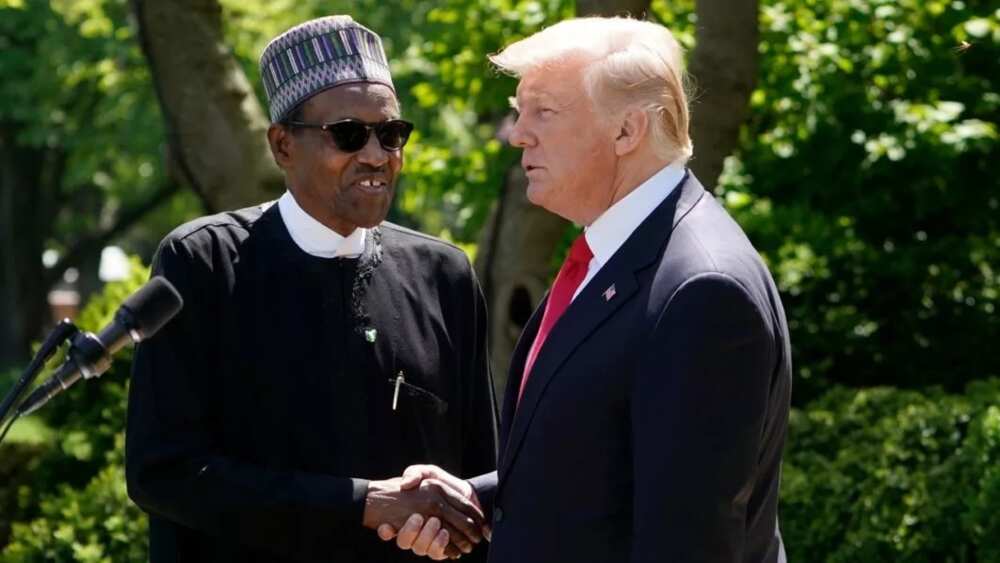 Ba na fatan sake ganawa da mutum kamar Buhari — Trump