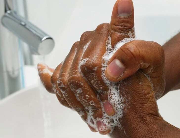 Importance of personal hygiene for food handlers hand washing