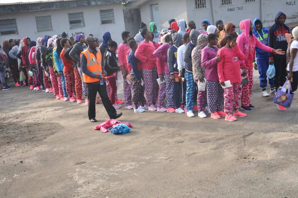 How 1,268 Nigerians voluntarily returned to Nigeria from Libya in 5 months — NEMA