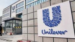 Unilever Nigeria appoints new Executive Director, Secretary after divesting from personal care products