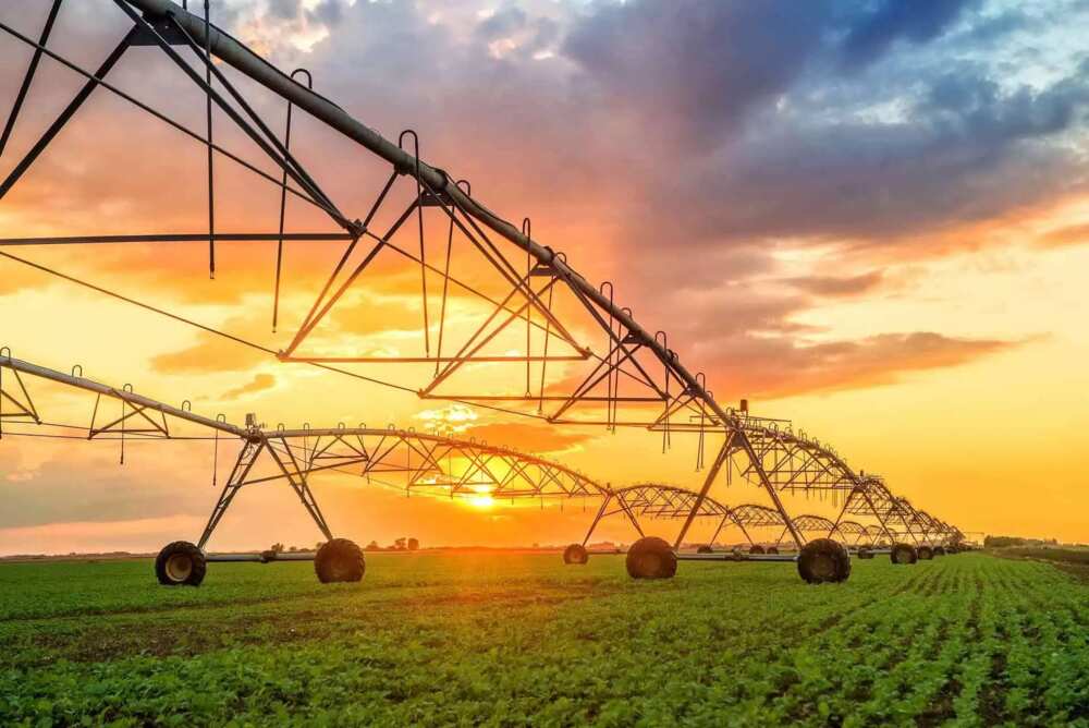 Irrigation farming in Nigeria