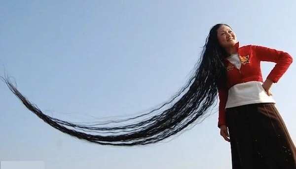 Longest hair in the world CHINESE