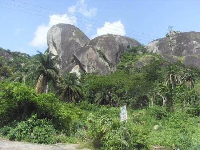 The Giant Footprint of Ukhuse Oke The Giant Footprint of Ukhuse Oke